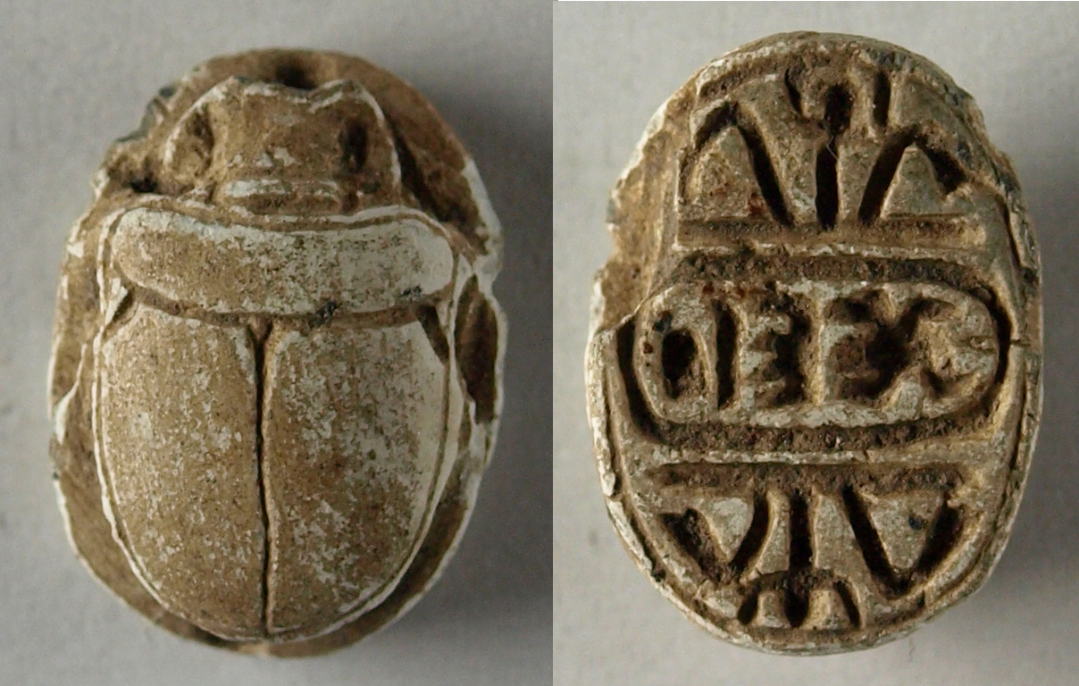 A History Of Scarab Beetles And Ancient Egypt