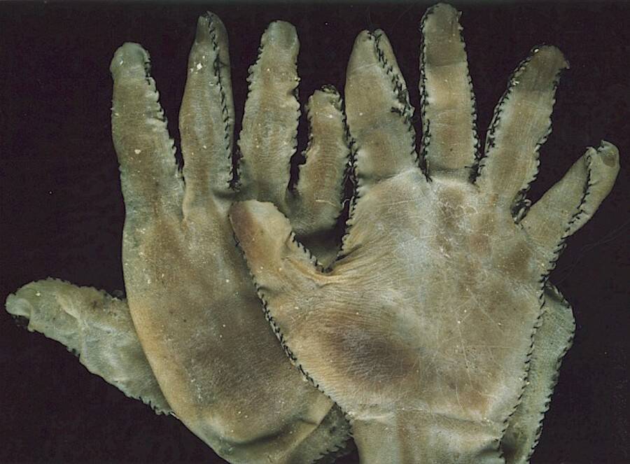 eg-gein-skin-gloves.jpg